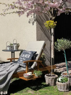 Ulkokalusteet<Beliani Aurinkotuoli Akasiapuu Vaalea Puu/Ruskeanharmaa Java