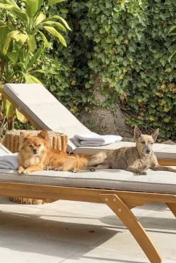 Tekstiilit<Beliani Aurinkotuolin Tyynyt Beige Cesana