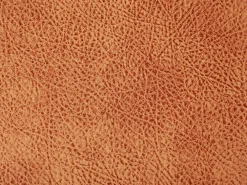 Shop Beliani Elainjakkara Keinonahka Säilytystila Kullanruskea 66 X 35 Cm Monkey