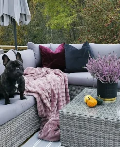 Cheap Beliani Harmaa 8-Istuttava Ulkosohvaryhma Pe-Rottingista Xxl