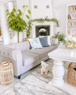 Sale Beliani 3-Istuttava Sohva Kangas Vaaleanharmaa Chesterfield