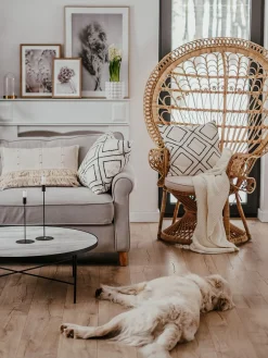 Sohvat<Beliani 3-Istuttava Sohva Sametti Vaalea Beige Ronneby