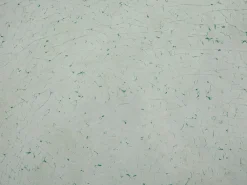 Ulkokalusteet<Beliani 6-Istuttava Ulkoruokailuryhma Lasitaso Tekstiilituolit Kirkas/Musta Grosseto