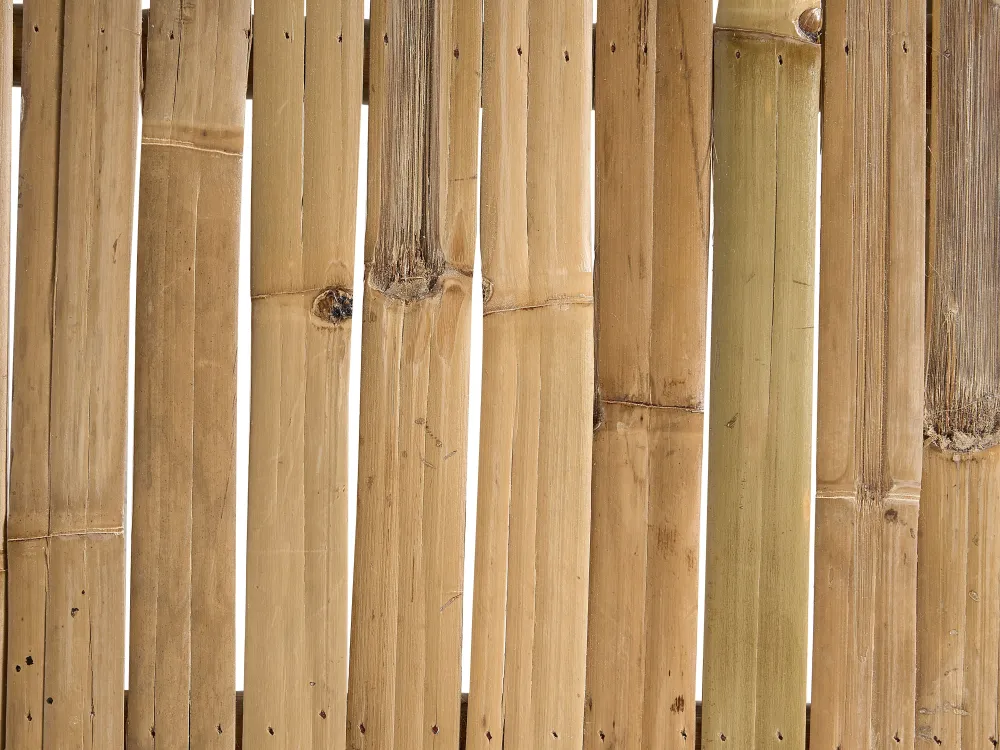 Ulkokalusteet<Beliani 2-Istuttava Ulkosohvaryhma Bambu Vaalea Puu/Ruskeanharmaa Todi