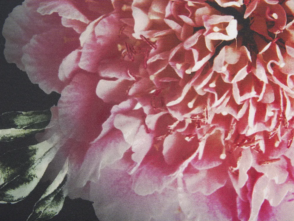 Tekstiilit<Beliani Koristetyyny 2Kpl Setti 45 X 45 Cm Monivarinen Hedera