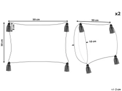 Tekstiilit<Beliani Koristetyyny Puuvilla Beige 30 X 50 Cm 2 Kpl Incana