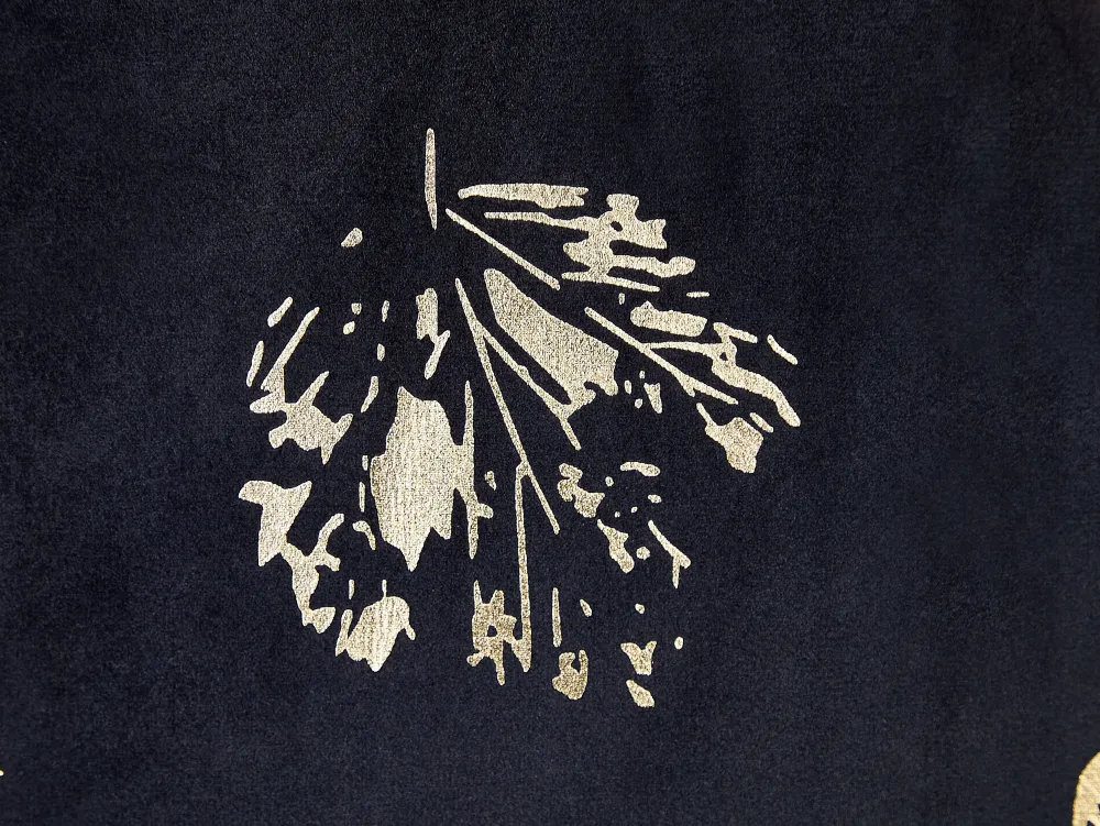 Clearance Beliani Koristetyyny Sametti Musta 45 X 45 Cm 2 Kpl Goldenrod