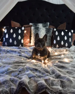 Tekstiilit<Beliani Koristetyyny 45X45 Cm 2 Kpl Musta Cupid