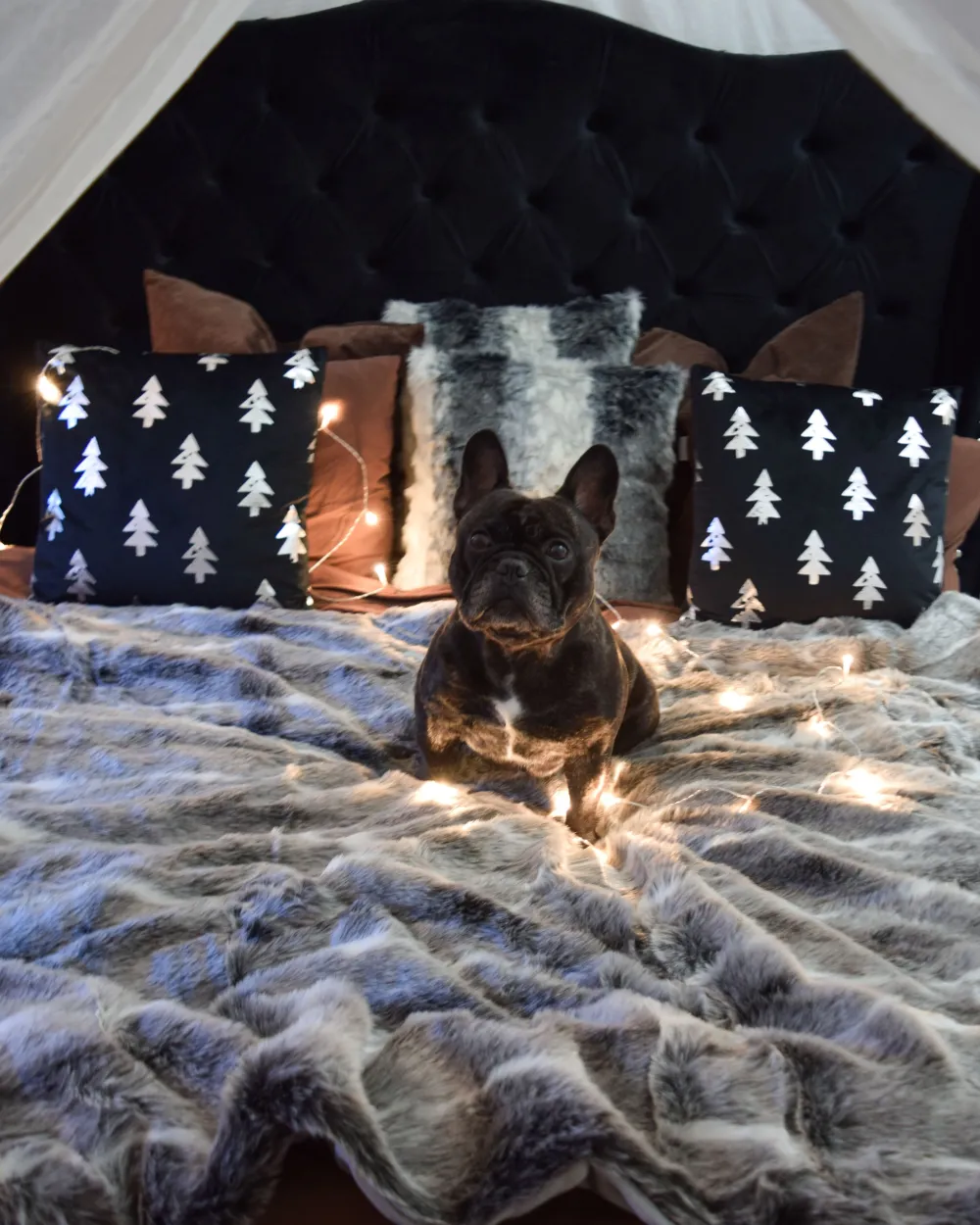 Tekstiilit<Beliani Koristetyyny 45X45 Cm 2 Kpl Musta Cupid