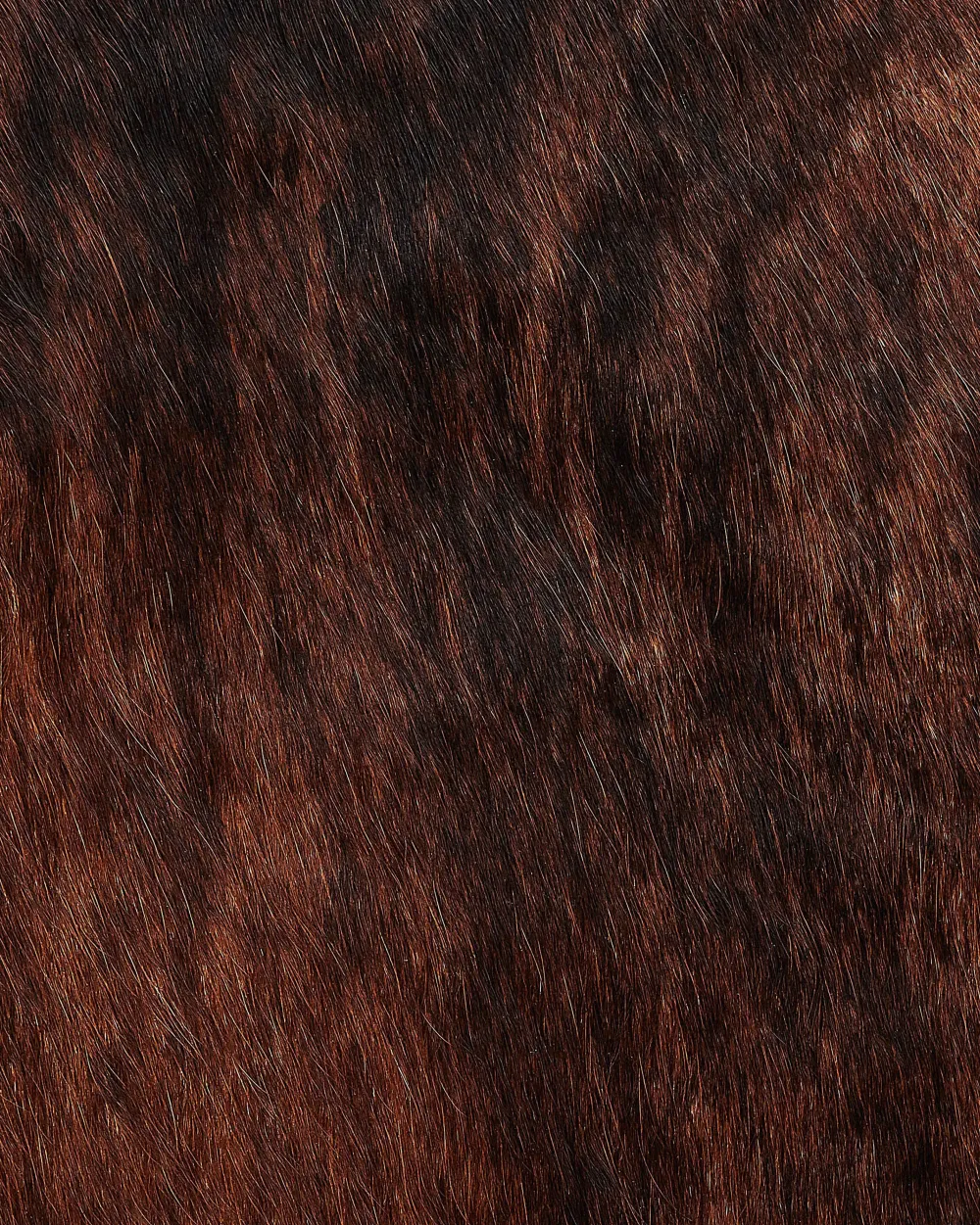 Matot<Beliani Lehmantalja Tummanruskea 3-4 M² Nasqu