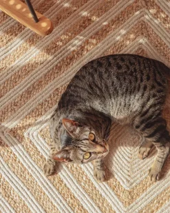 Matot<Beliani Matto Juutti Beige 140 X 200 Cm Pirli