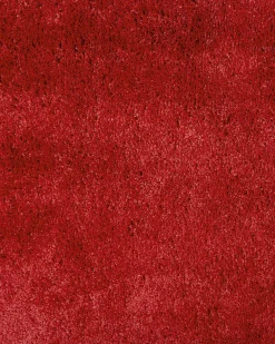 Matot<Beliani Matto Kangas Punainen 160 X 230 Cm Evren