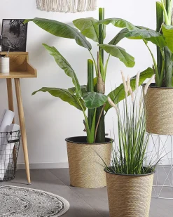 Online Beliani Matto Puuvilla Kermanvalkoinen/Musta O 120 Cm Hizan