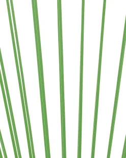 Ulkokalusteet<Beliani Narutuoli Polyrottinki Vihrea Acapulco Ii