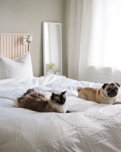 Best Beliani Pussilakanasetti Satiinipuuvillaa 135 X 200 Cm Beige Avondale