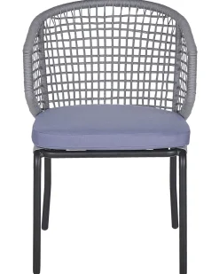 Ulkokalusteet<Beliani Puutarhatuoli 2 Kpl Harmaa Palmi