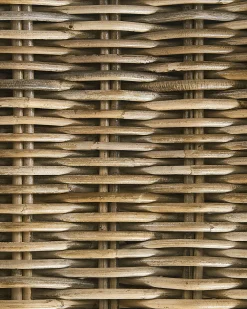 Ulkokalusteet<Beliani Puutarhatuoli Rahilla Rottinki Luonnonvari 2 Kpl Ribolla