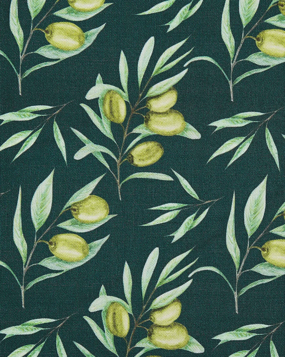 Outlet Beliani Puutarhatuoli Tumma Akasiapuu Vaihtokangas 2 Kpl Luonnonvalkoinen/Oliivikuvio 2 Kpl Cine