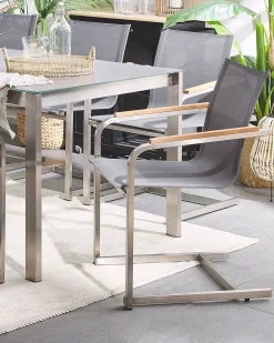 Ulkokalusteet<Beliani Puutarhatuolit 2Kpl Setti Harmaa Cosoleto