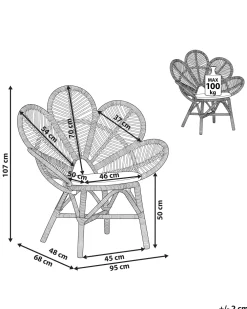 Ulkokalusteet<Beliani Riikinkukkotuoli Rottinki Luonnonvari Florentine