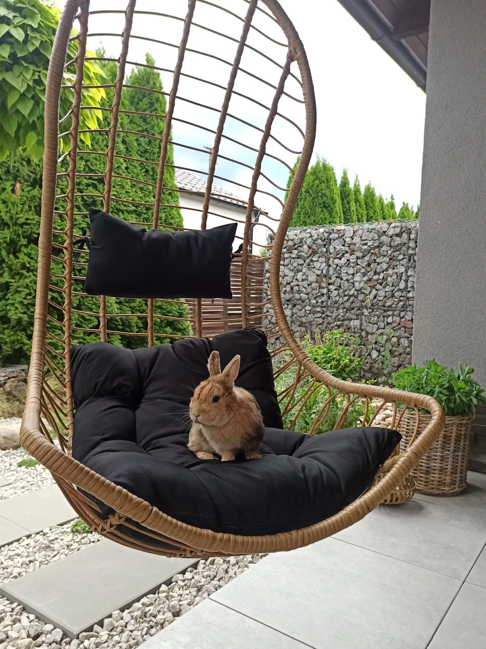 Nojatuolit<Beliani Riipputuoli Jalustalla Polyrottinki Luonnonvari Pineto