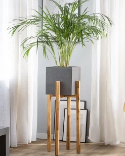 Tuolit<Beliani Rottinkituoli Luonnonvari Canora