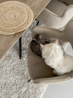 Pöydät<Beliani Ruokapoyta Vaalea Puu/Musta 140 X 80 Cm Spectra