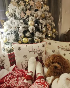 Tekstiilit<Beliani Torkkupeitto Kangas Punainen/Valkoinen 150 X 200 Cm Vantaa