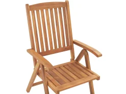 Flash Sale Beliani Ulkoruokailuryhma 6-Istuttava Akaasiapuinen Ruskeanharmailla Pehmusteilla Java