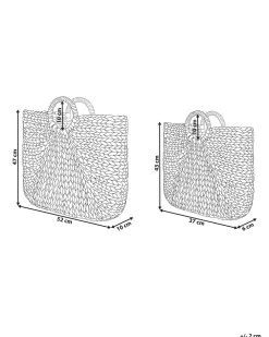 Säilytys<Beliani Vesihyasinttikori Luonnonvari 2 Kpl Pompano